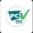PCI DSS