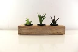 KUZELA  Ahşap Kütük Sukulentlik ve Mumluk - 2