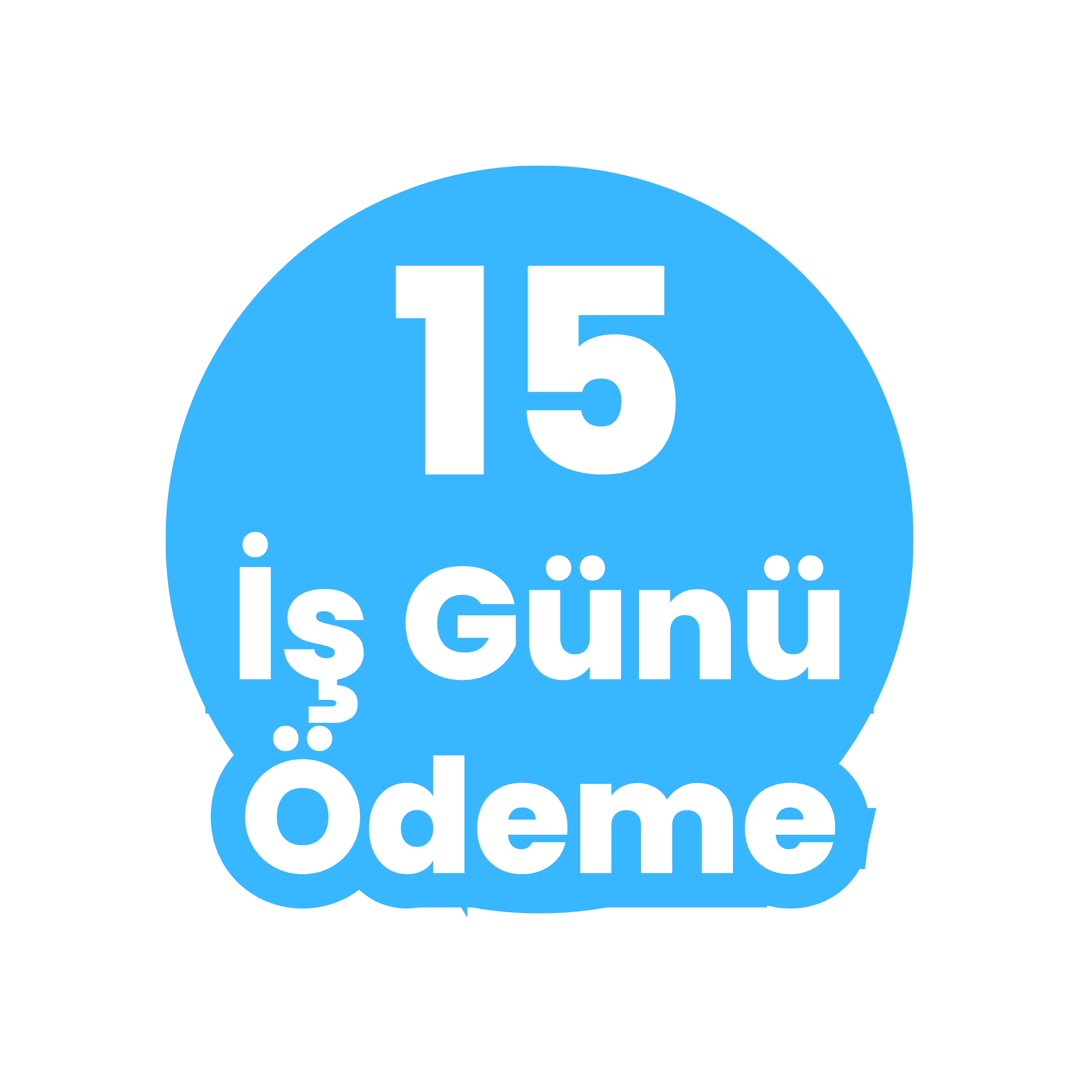 15 İş Günü